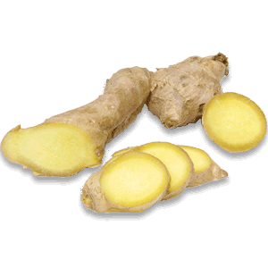 Ginger PNG