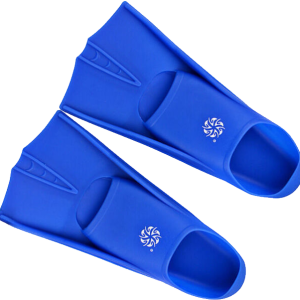 Flippers PNG