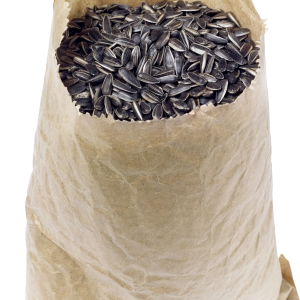 Sunflower seeds PNG