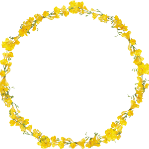 Floral frame PNG