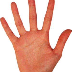 Palm hands PNG, hand image free