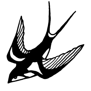 Swallow PNG