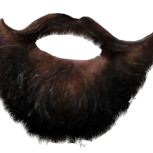 Beard PNG image
