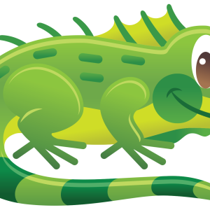 Iguana PNG