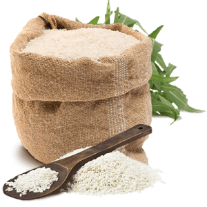 rice PNG