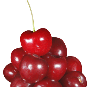 cherry PNG image