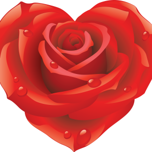 Rose PNG