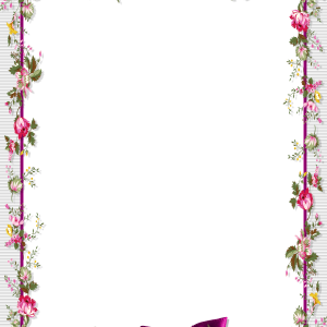 Floral frame PNG