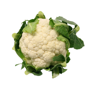 Cauliflower PNG