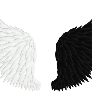 Wings PNG
