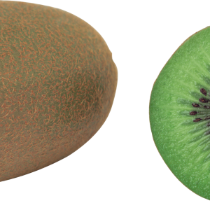 Kiwi PNG image, free fruit kiwi PNG pictures download