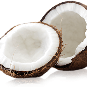 Coconut PNG image
