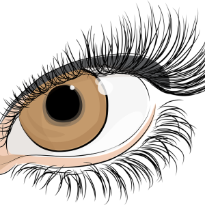 Eyelash PNG