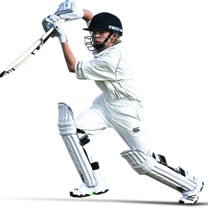 Cricket PNG