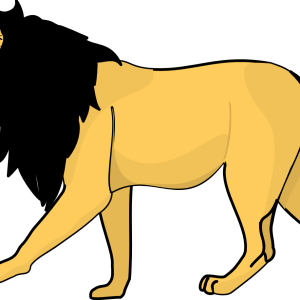 Lion PNG image, free image download, picture, lions
