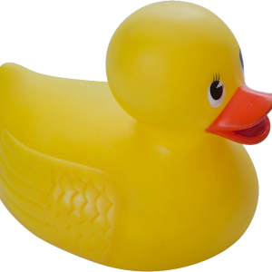 Rubber duck PNG