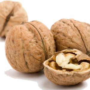 Walnut PNG