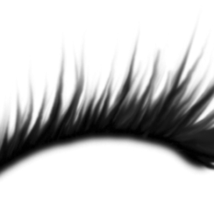 Eyelash PNG