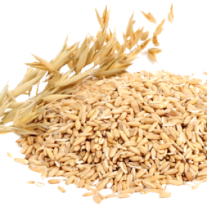 Porridge, Oatmeal PNG