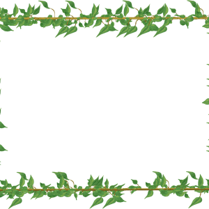 Floral frame PNG