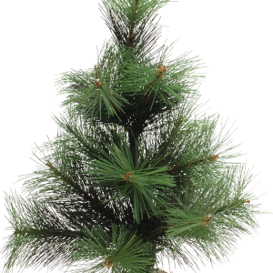 Christmas tree PNG
