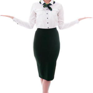 Stewardess PNG