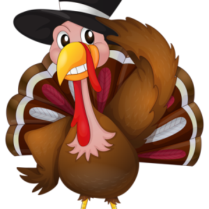 Turkey bird PNG