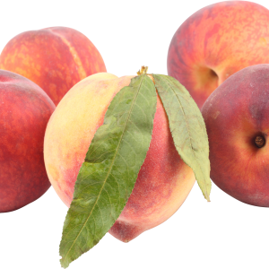 Peach PNG image