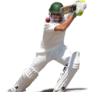 Cricket player PNG