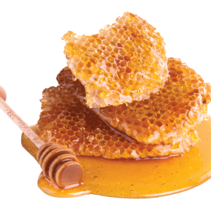 Honey PNG