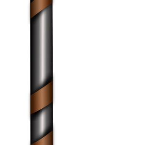 Walking stick PNG