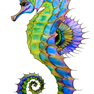 Seahorse PNG