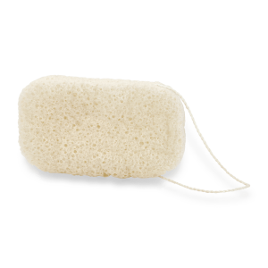 Sponge bath PNG