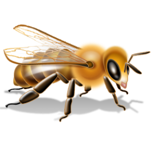 Bee PNG