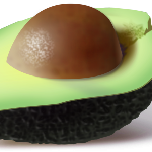 Cutted avocado PNG