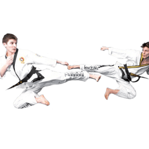 Taekwondo PNG