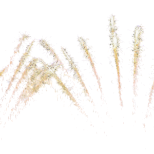 Fireworks PNG