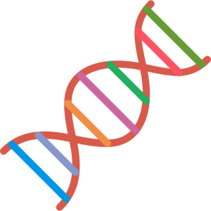 DNA PNG