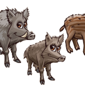 Boar PNG