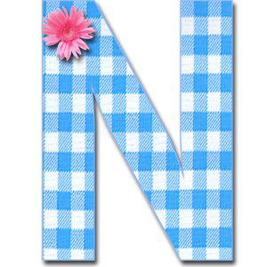 Letter N PNG