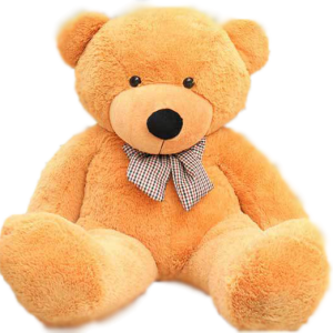 Teddy bear PNG