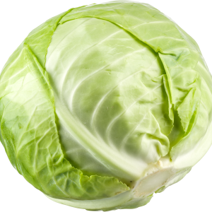 Cabbage PNG
