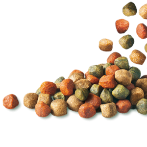 Dog food PNG