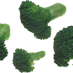 Broccoli PNG image
