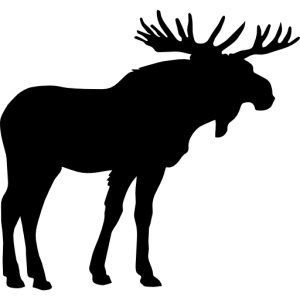 Moose, elk PNG