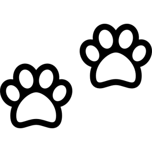 Paw PNG