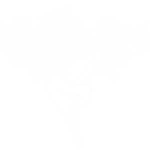Smoke PNG