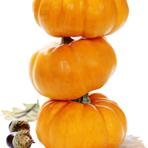 Pumpkin PNG
