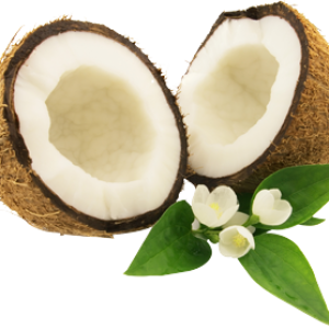 Coconut PNG image