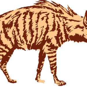 Hyena PNG